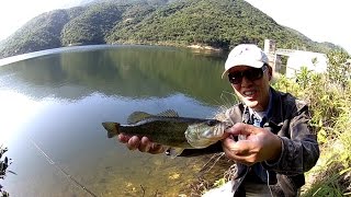 Tai Tam Bass Fishing 2017.01.07