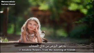 O Meadow Flowers (Eng Subs) | محمد المقيط - نادي الأطياب | Muhammad al Muqit