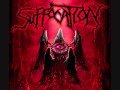 Suffocation - Mental Hemorrhage (w/Lyrics)