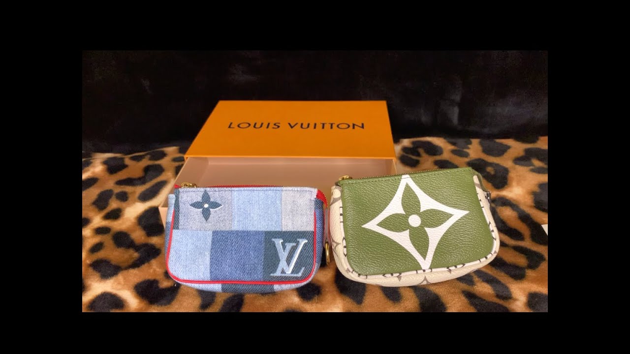 Pochette comparison (ft. LV micro pochette)