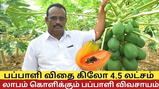 1 மரத்தில் 250 கிலோ பப்பாளி ஏக்கருக்கு 4 லட்சம் ஆண்டு வருமானம் | Papaya cultivation