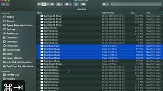 Understanding Playlist Names in Pro Tools