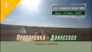 ПРОХОРОВКА -ДОНЛЕСХОЗ (поиск грибов)/#3 -Октябрь -2022