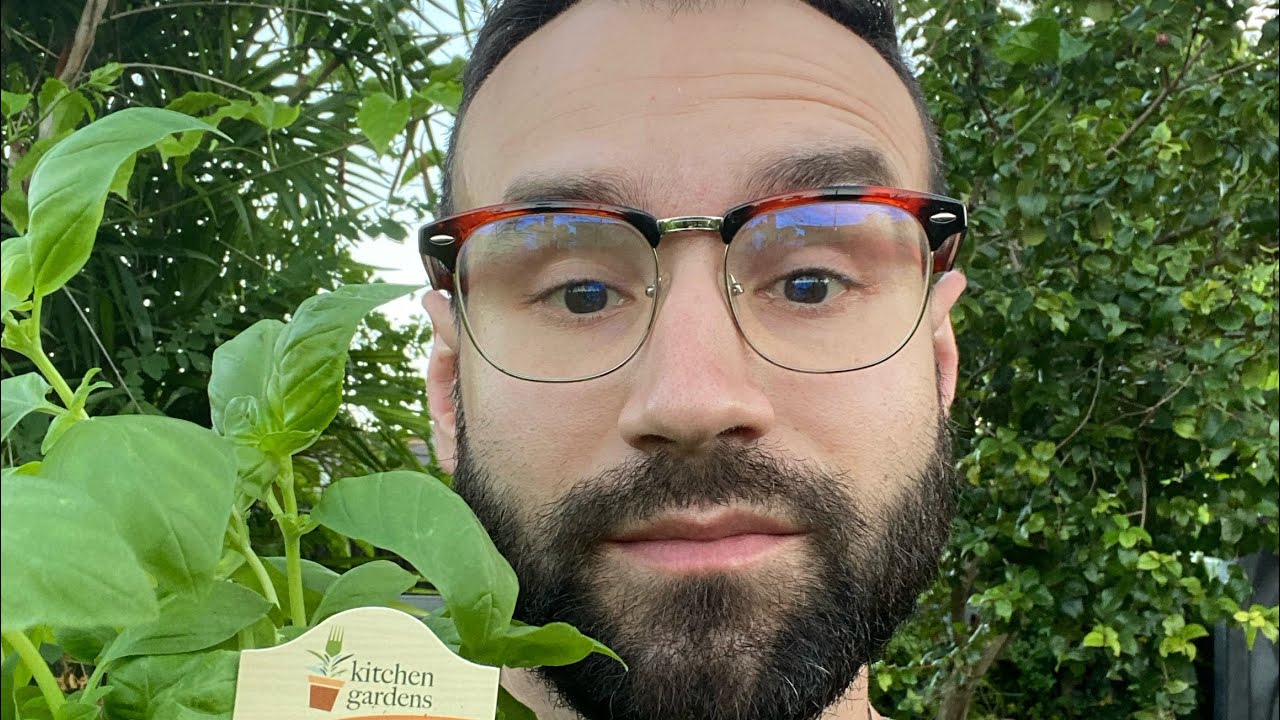 How I add soil potted plant to flood and drain hydroponic system