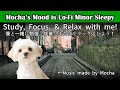 Lo-Fi Hip Hop BGM Study/Work/Relax [勉強/作業/リラックスBGM] Minor Sleepy Album