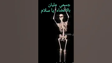 يا سلا يا سلملم 