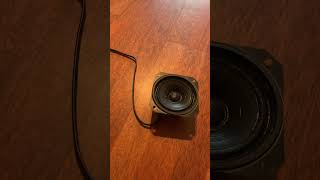 IMG 8730