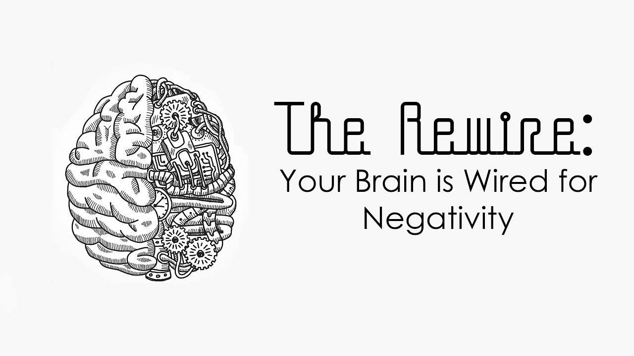Your Brain is Wired for Negativity - YouTube