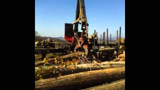 Cutting up logs