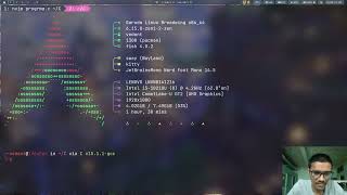 Python_1 Improved print(), len() and input() functions