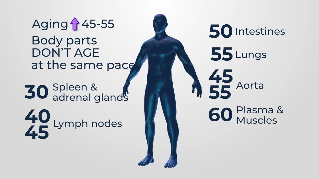 THE NEW AGE OF AGING: WHEN DOES AGING REALLY START?