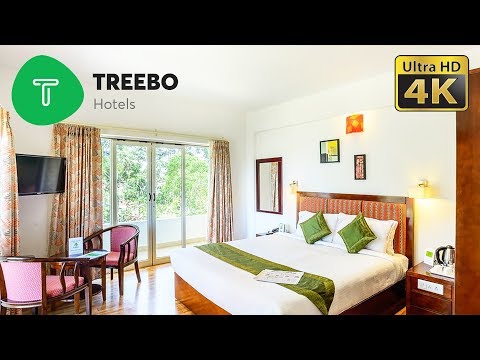 DIY Travel Reviews - Treebo Hotels: India's Top Budget Hotels