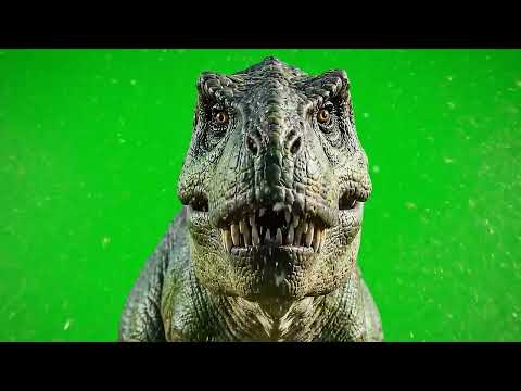 T Rex Green Screen With Sound Effects No Watermark No Copyright