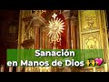 Sanacin divina oracin poderosa y meditacin para superar enfermedades  alimento de fe