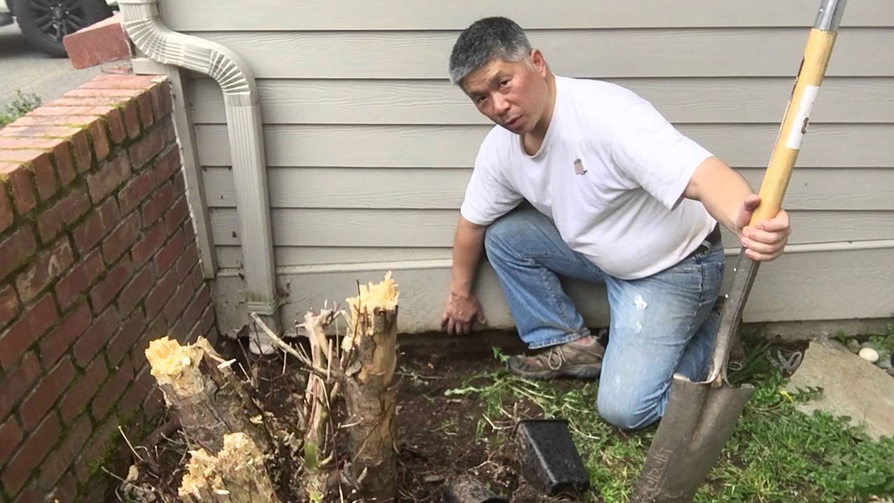 Wood to Soil Contact YouTube