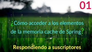 Accediendo a los objetos de la cache programáticamente en Spring | #cache