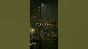 القرآن الكريم سورة الإخلاص  #ماهر_المعيقلي