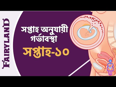 ভিডিও: গর্ভাবস্থার দশম সপ্তাহ