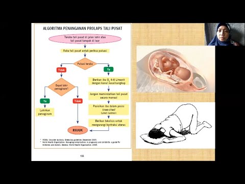 Video: Akomodasi Plasenta Untuk Transportasi Dan Metabolisme Selama Crowding Intra-uterine Pada Babi