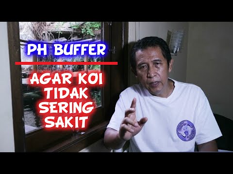 Video: Apa yang menyebabkan penstabil kolam rendah?