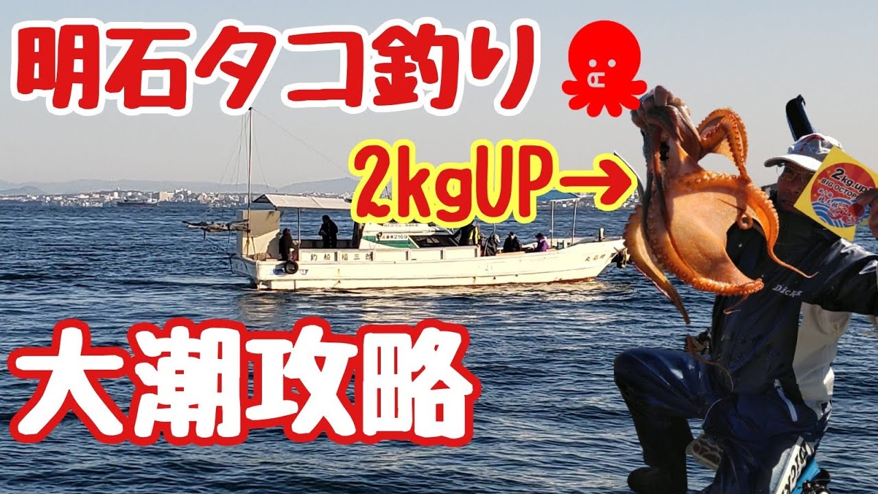 明石タコ釣り 大潮周りを攻略 4 11の実釣模様を時間帯別の潮流情報等の解説を交えてお届けします Youtube