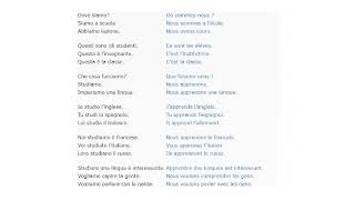 Francese corso di lingua francese gratuito 100 lezioni + TESTO