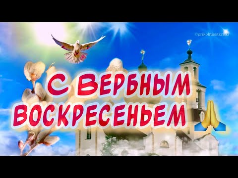 Вербное Воскресение поздравления от души 🕊️ Красивое поздравление С Вербным Воскресеньем🙏