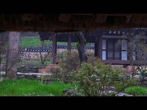 [빗소리 ASMR] 고즈넉한 백운동 원림 한옥과 정원, 마음을 달래주는 천둥소리와 비오는 소리.