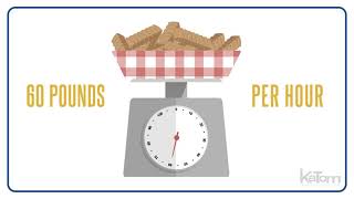 Pitco 45 lb Gas Fryer 40D