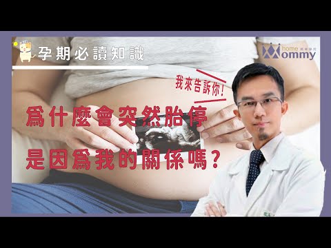 【孕期必讀知識】 為什麼會突然胎停? 是因為我的關係嗎?  | 媽咪學苑 | 豐禾婦產科 曾宇泰醫師