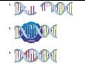 Ligation (Using T4 DNA Ligase) - Amrita University