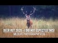 Photographing the RED DEER rut | Wildlife Photography Vlog