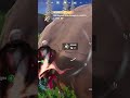 Hunny then down for the Victory Royale. #blitzroyale