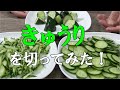 【男飯】ド素人が料理をキュウリを切ってみる！