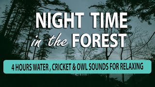 Night Time Forest River Flowing Sounds  Relaxing Nature Sounds , Cricket and Owl - 4 Hours