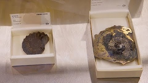 Pyrite Disease: Keeping Fool’s Gold Challenges Museums