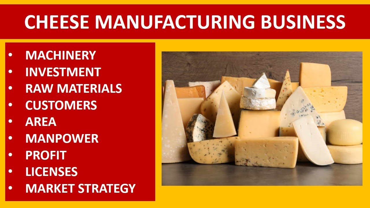 Cheese Manufacturing Business Cheese Processing Business Dairy