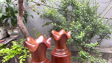 Lộc bình gỗ hương gia lai nguyên khối