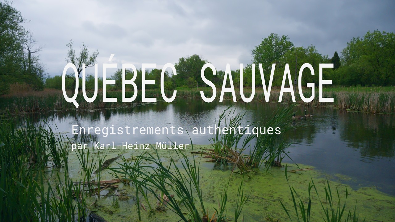 Paysages sonores :: Québec Sauvage :: 2026-02-21