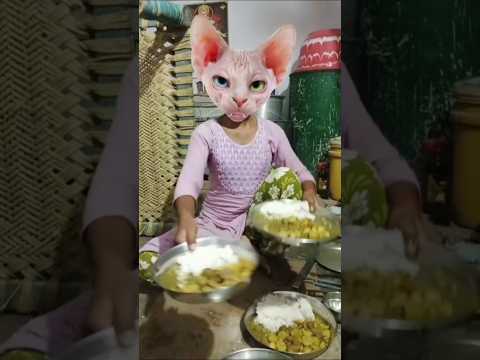 💦🙏🙏मजेदार 🕳️🙏💦झूमर गीत 🍼🙏🕳️ #funny #youtubeshorts #jhumargeet