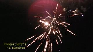 FP-B204 Силуэт