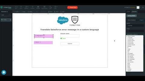 Translate Salesforce error message in a custom language