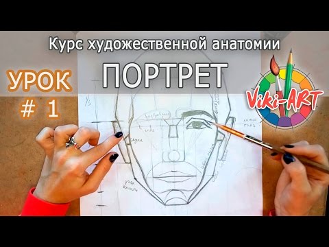 Как нарисовать портрет: ПОЛНЫЙ РАЗБОР! Пропорции головы и лица. Анатомия. Рисуем вместе с Viki-ART