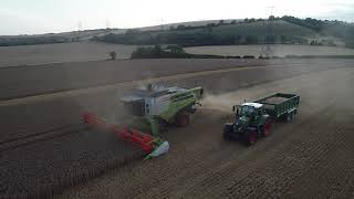 class lexion 770 and fendt 724  wheat harvest 2019