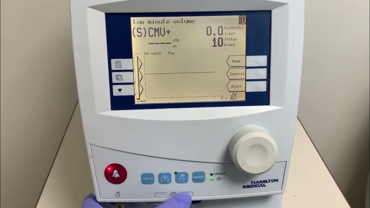 (Soldout) HAMILTON RAPHAEL Silver Ventilator YouTube