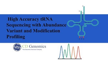 High-Accuracy tRNA Sequencing: Profiling Abundance & Modifications Without RT Bias