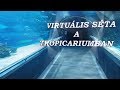 Virtulis sta a tropicarium