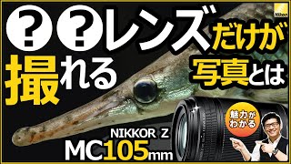 ニコン NIKKOR Z MC 105mm f/2.8 VR S ミラーレス一眼カメラでの物撮りやポートレートなどにオススメ 【作例で解説 マイクロレンズの実写レビュー】