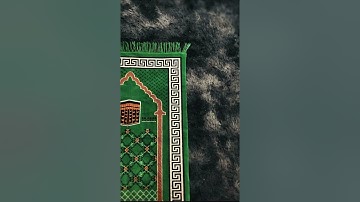 ما تيسر من سوره المؤمنون بروية حفص عن عاصم #الشيخ سالم عبده سالم