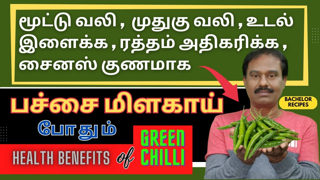 தெரிந்த பச்சை மிளகாய் தெரியாத ரகசியங்கள் / Health Benefits of Green Chillies / Bachelor Recipes